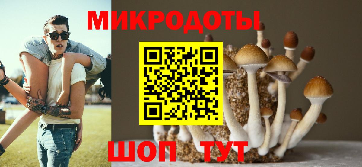 Ленинск-Кузнецкий  цены   Вход с VPN  Галлюциногенные грибы Magic Shrooms 